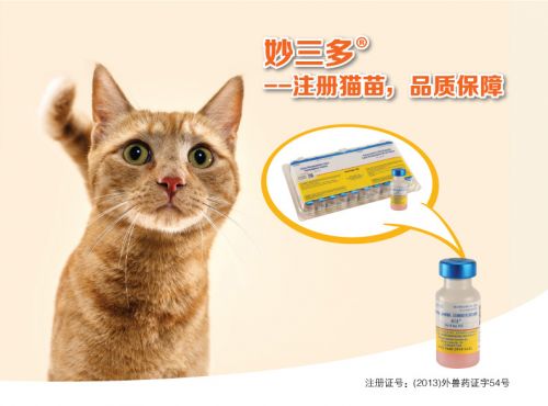 猫咪免疫,为何我选妙三多疫苗