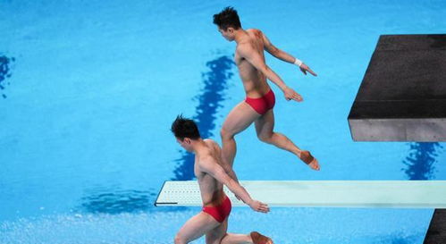 跳水教练比运动员跳的好吗,跳水教练比运动员跳的好吗知乎