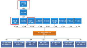 老板让我准备公司的股权架构、公司的股东及实际控制人简介。这个要怎么弄