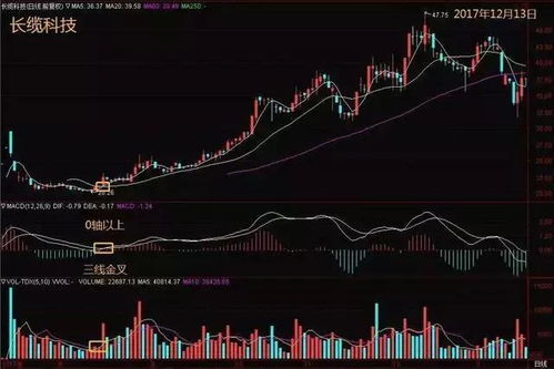 炒股团队里的人除了操盘手还有什么