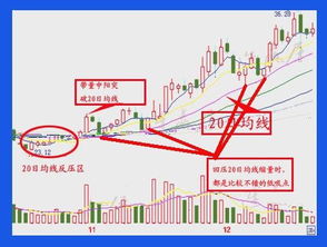 股王秘笈之低吸十法分别指的是哪十法？