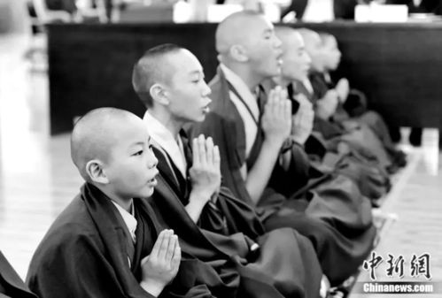 沈卫荣 如何理解藏传佛教中的活佛转世制度