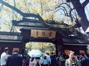 灵隐飞来峰 成人票 不含灵隐寺 杭州飞来峰计划去灵隐寺烧香拜佛,但是进门 驴妈妈点评 