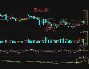 兖州煤业600188,后市怎么了操作?我是24.64元月进的.