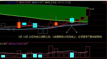 “随便顺根日K的20日均线”这是什么意思