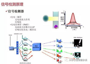 细胞仪的专业知识