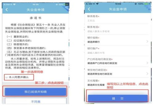 龙陵县失业保险金领取,网上申请失业金领取流程