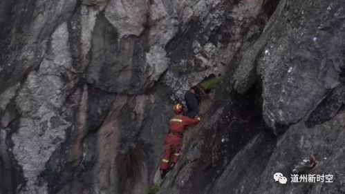 道县 男子上山采药被困150米陡峭山崖,双腿发软请求救援