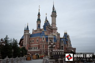 上海迪士尼城堡内部装修细节曝光 