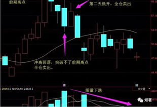 股灾,所有人都亏钱,到底钱亏到哪里了