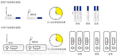 真菌毒素测定仪