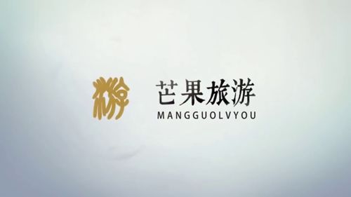 陕西省城市经济学校招生简章官网