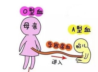 这两种血型的女人,第一个孩子对你很 重要 ,不要随便 堕胎