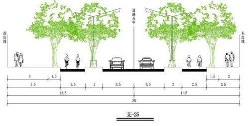 三幅路VS单幅路 为什么北京地方标准推荐三幅路