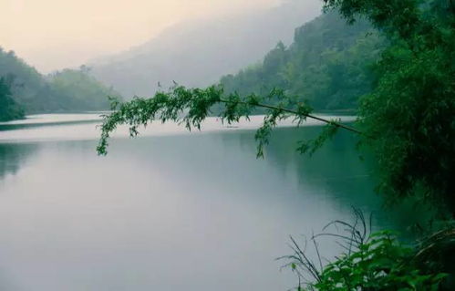 最美不是下雨天,而是与你一起撑着油伞在无锡赏过