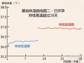 基础体温表 基础体温表格怎么画呢