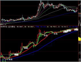 股票里的实体低点是什么意思