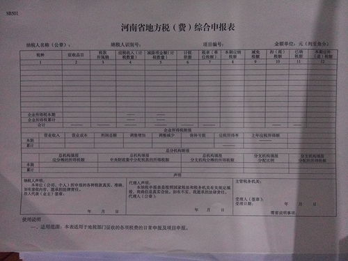 国税/地税零申报如何填写啊！请教！