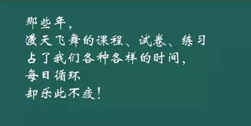 关于高考丨哪些高考回忆,让你念念不忘 