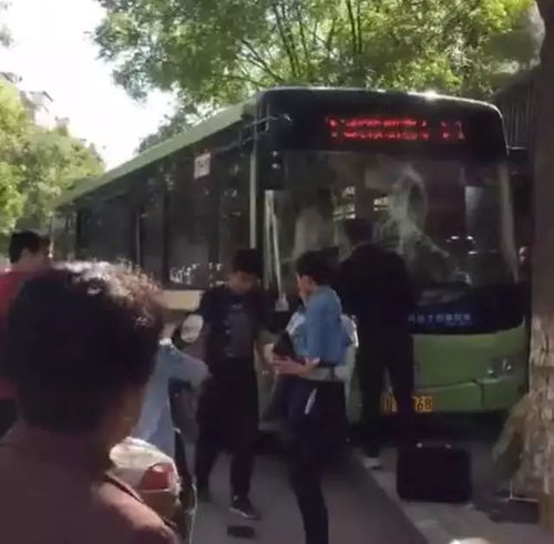 2017.09.22 来了一轮急性子雨 今天全省降雨直到傍晚,而且还降温 今日忌挨浇