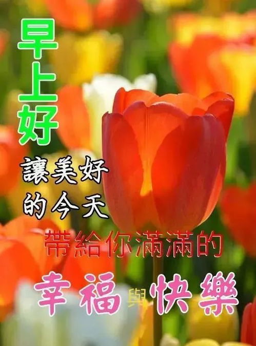 发朋友圈最高级的早晨问候语短信,清晨早安问候祝福短信大全