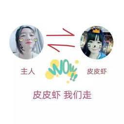 师大好舍友 快来给你心中的好舍友投票吧 