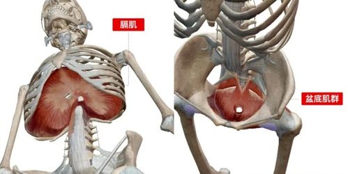 什么是核心收紧 怎么做核心力量收紧 