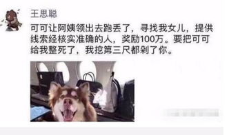 看了王思聪的朋友圈,你才知道什么叫炫富,网友 一点都不羡慕