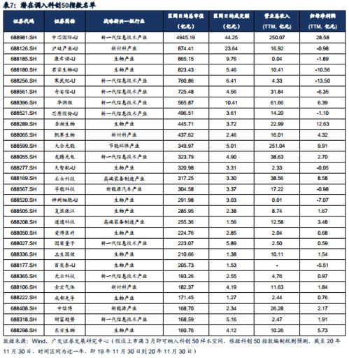 衔玉而进 科创板2021年度策略