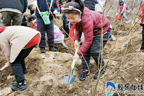 国翠小学二年级一班开展 同心播种春天 植树活动