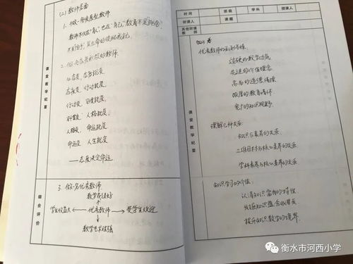 衡水市河西小学备课教案交流式的检查