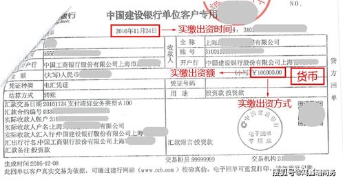 股东出资情况表怎么填