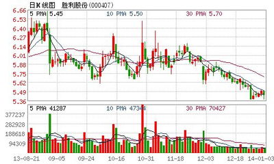 胜利股份为什么停牌