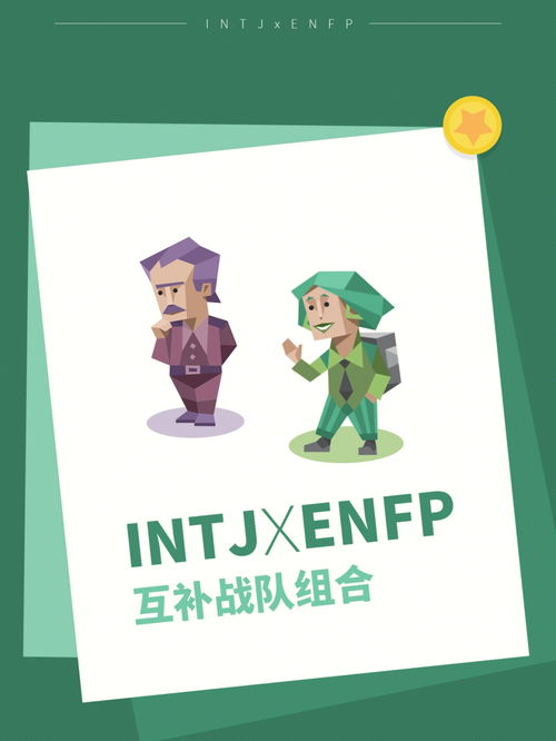 INTJ X ENFP 互补战队组合 