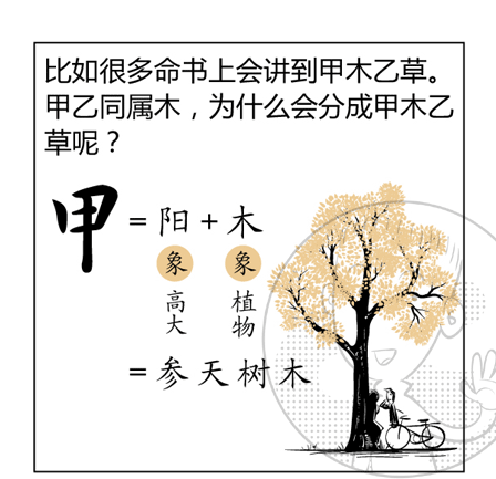 轻松学算命之八字中的天干地支 漫画连载 上