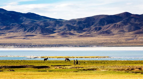 新疆西藏的美景,它全有 竟然承包了中国一半的美