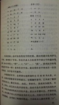 汉语拼音之父,汉语拼音之父是周有光还是卢戆章(图1)