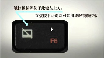 win10笔和触摸设置