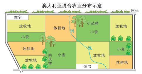 高中区域地理大洋洲专题知识梳理,附你绝对不知道的澳洲冷知识