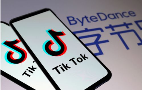 tiktok apps english_TikTok品牌推广