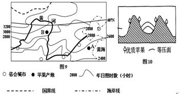 种植苹果的自然条件地理(苹果的种植条件高中地理)