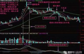 炒股奇才的买卖战法,学会一招股市就是你的收割机