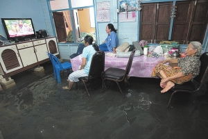 泰国洪灾致全球大米硬盘吃紧