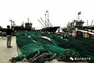 爱山川亲子户外8月15 17日威海那香海国际浴场 海驴岛 赶海 出海打鱼 幸福门 威海韩国城 篝火晚会3日游 