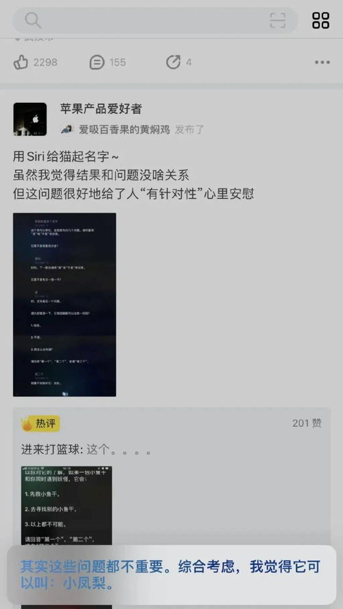 用Siri给猫起名字 套路猝不及防