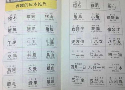 若取什么名字大全