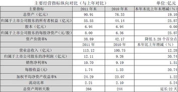 毕业论文云南白药的财务分析