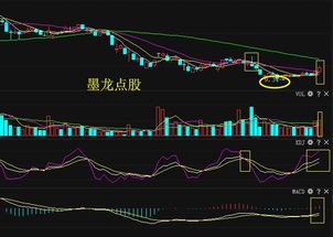 14.92买入锐奇股份，后市怎样