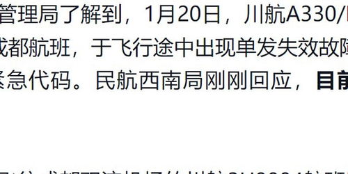 关注 川航一航班空中挂 7700 紧急代码 究竟发生了什么