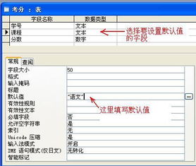 在ACCESS中，字段定义为“货币型”，如何输入800万美元？